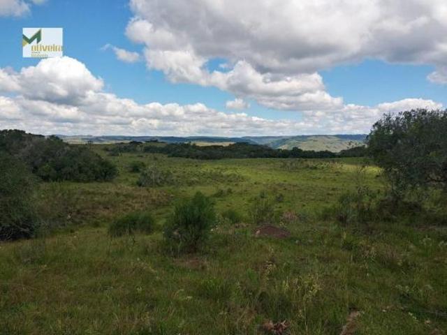 Sítio e chácara venda em Região Geográfica Imediata de Vacaria, Jaquirana