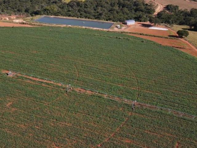 Sítio e chácara venda em Santana de Patos, Patos de Minas