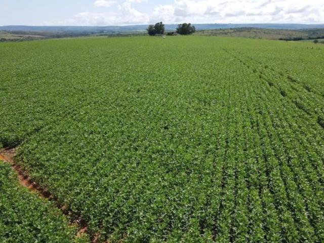 Sítio e chácara venda em Região Geográfica Imediata de Patrocínio, Coromandel