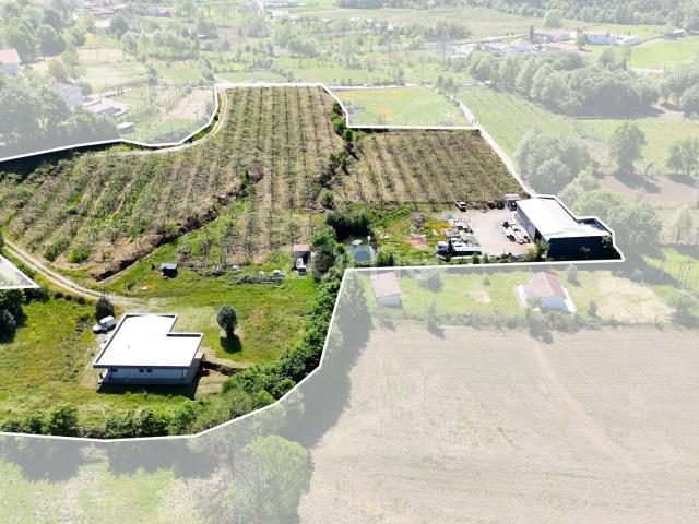 Quinta venda em Baloutas, Cabeceiras De Basto
