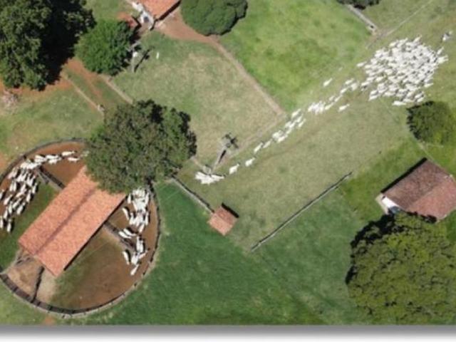 Sítio e chácara venda em Angatuba, São Paulo