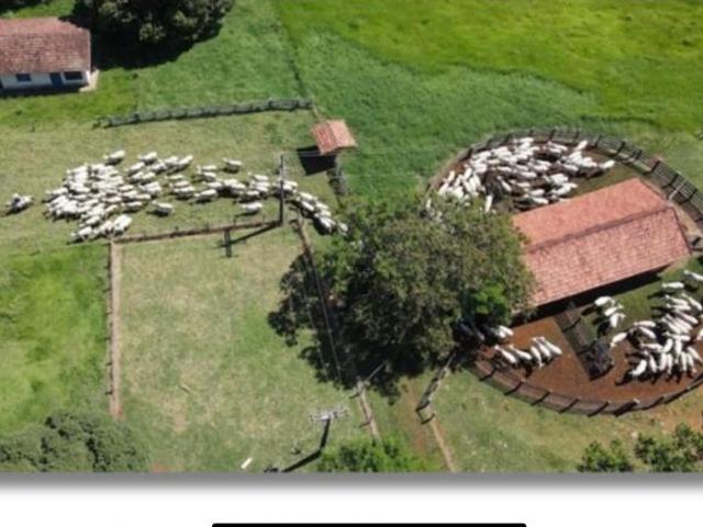Sítio e chácara venda em Região Imediata de Itapetininga, Angatuba