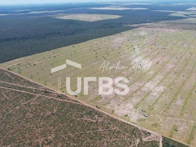 Ponto Comercial venda em Região Geográfica Imediata de Diamantino, Diamantino