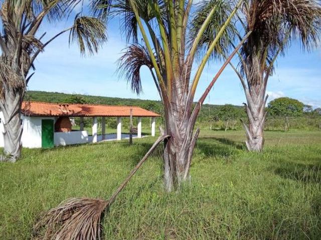 Sítio e chácara venda em Planaltina, Região Geográfica Intermediária do Distrito Federal