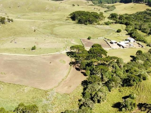 Sítio e chácara venda em Região Geográfica Imediata de Caxias do Sul, São Francisco de Paula