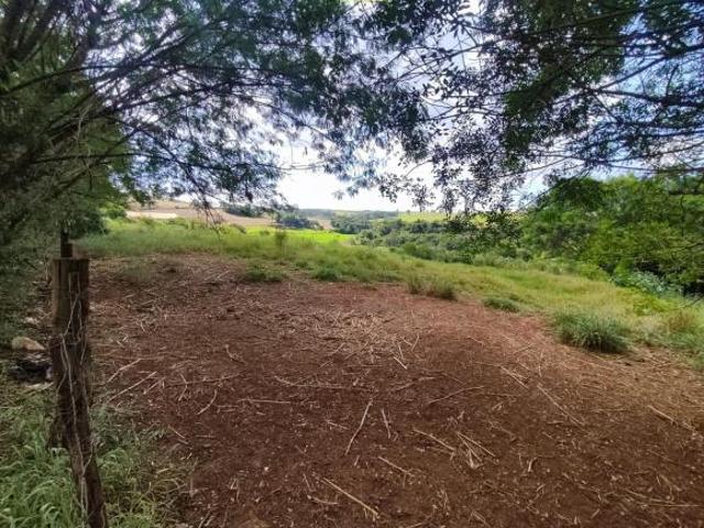 Sítio e chácara venda em Região Geográfica Imediata de Londrina, Londrina
