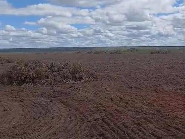 Sítio e chácara venda em Região Geográfica Imediata de Januária, Bonito de Minas