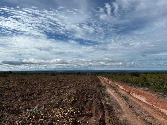 Sítio e chácara venda em Região Geográfica Imediata de Januária, Bonito de Minas