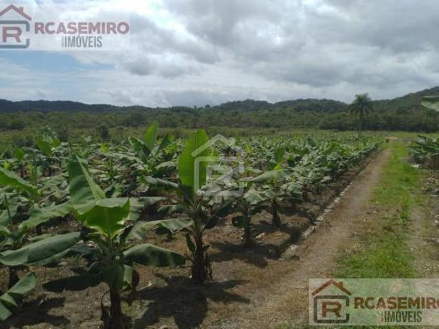 Sítio e chácara venda em Sete Barras