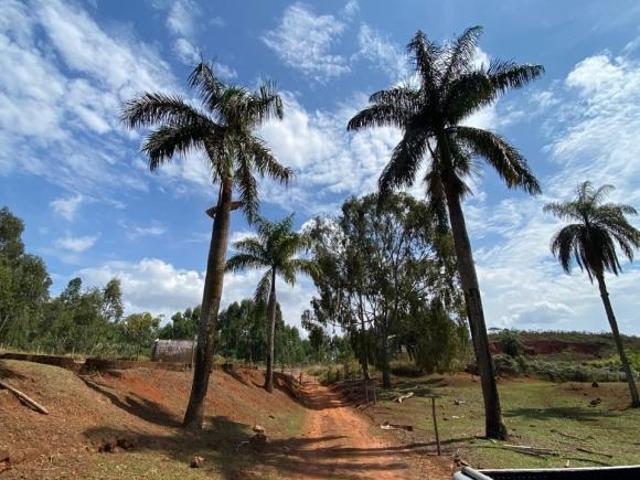 Sítio e chácara venda em Região Geográfica Imediata de Formiga, Córrego danta