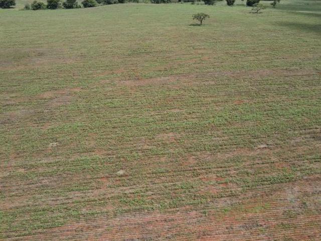 Sítio e chácara venda em Região Geográfica Imediata de Patrocínio, Patrocínio