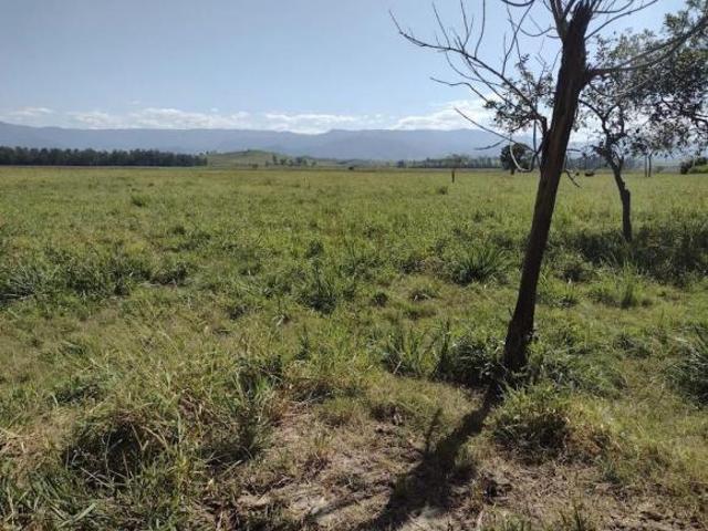 Sítio e chácara venda em Região Imediata de Guaratinguetá, Região Metropolitana do Vale do Paraíba e Litoral Norte