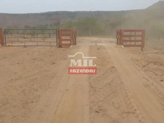 Fazenda venda em Região Geográfica Imediata de Rondonópolis, Alto Araguaia