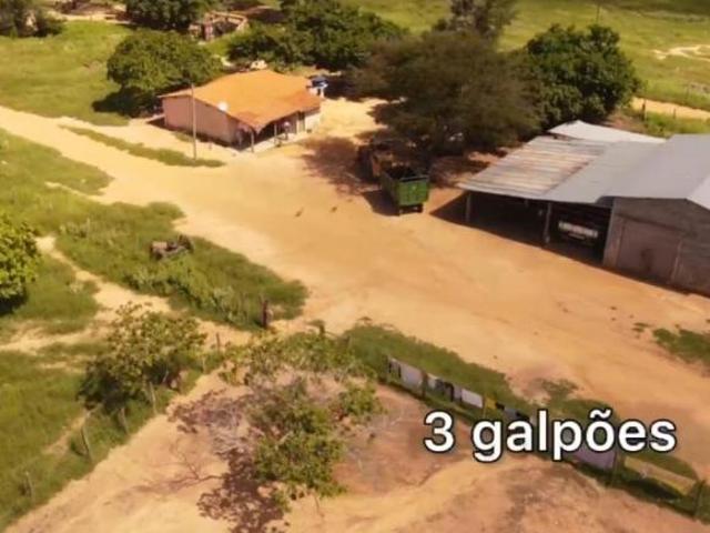 Sítio e chácara venda em Região Geográfica Imediata de Janaúba, Janaúba