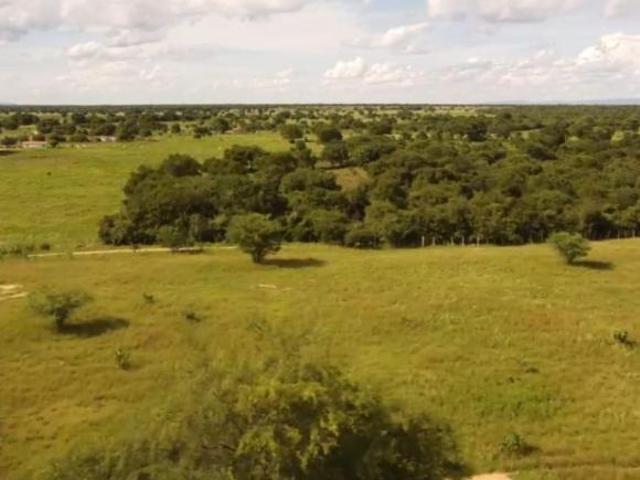 Sítio e chácara venda em Região Geográfica Imediata de Janaúba, Janaúba