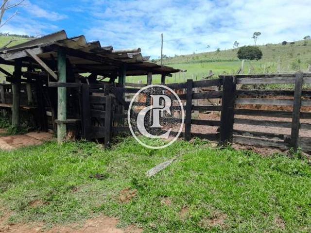 Sítio e chácara venda em Região Imediata de Campinas, Região Metropolitana de Campinas