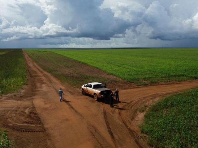 Sítio e chácara venda em Região Geográfica Imediata de Rondonópolis, Alto Garças