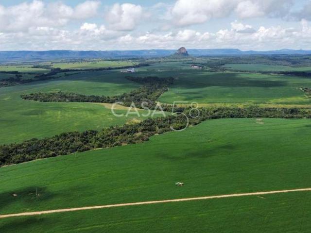 Sítio e chácara venda em Região Geográfica Imediata de Jataí-Mineiros, Caiapônia