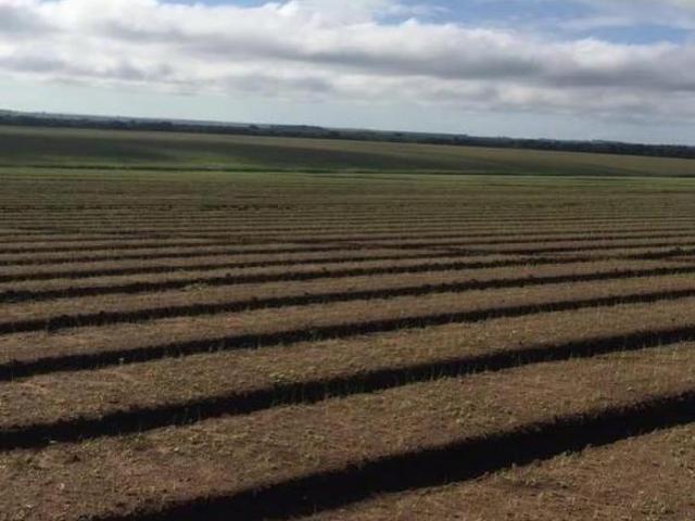 Sítio e chácara venda em Região Geográfica Imediata de Diamantina, Diamantina
