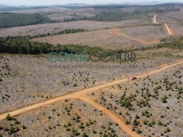 Sítio e chácara venda em Areião, Andrelândia