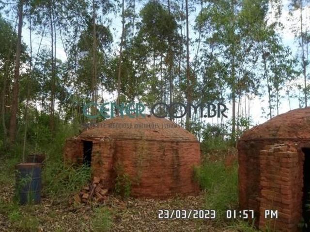 Sítio e chácara venda em Região Geográfica Imediata de Sete Lagoas, Região Metropolitana de Belo Horizonte