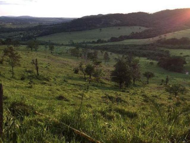 Sítio e chácara venda em Região Geográfica Imediata de Divinópolis, Itaúna