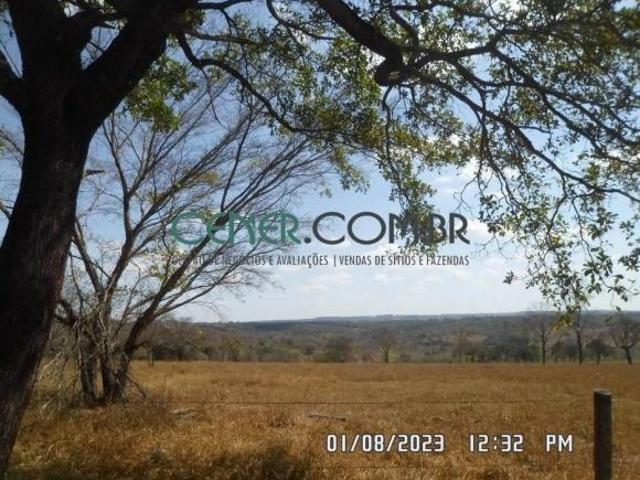 Sítio e chácara venda em Região Geográfica Imediata de Dores do Indaiá, Bom despacho