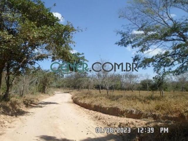 Sítio e chácara venda em Região Geográfica Imediata de Dores do Indaiá, Bom despacho