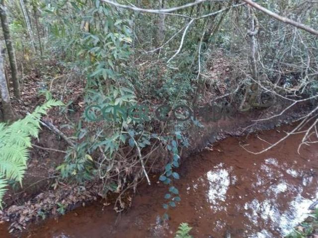 Sítio e chácara venda em Oliveira, Região Geográfica Intermediária de Divinópolis