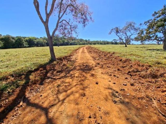 Sítio e chácara venda em Região Geográfica Imediata de Luziânia, Região Integrada de Desenvolvimento do Distrito Federal e Entorno