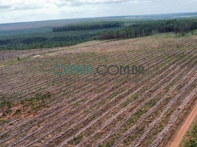 Sítio e chácara venda em Região Geográfica Imediata de Sete Lagoas, Região Metropolitana de Belo Horizonte