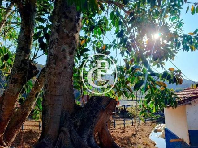 Sítio e chácara venda em Região Imediata de Campinas, Região Metropolitana de Campinas