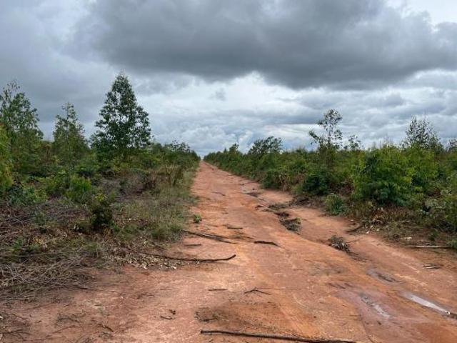 Sítio e chácara venda em Região Geográfica Imediata de Janaúba, Riacho dos Machados