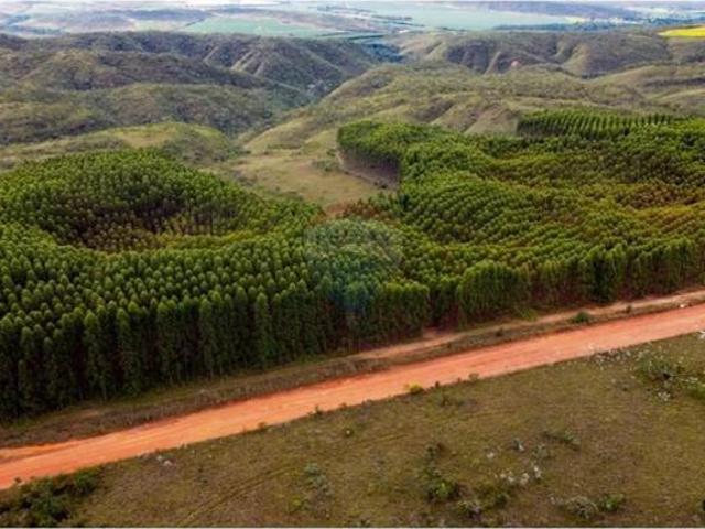 Sítio e chácara venda em Região Geográfica Imediata de Flores de Goiás, Região Integrada de Desenvolvimento do Distrito Federal e Entorno