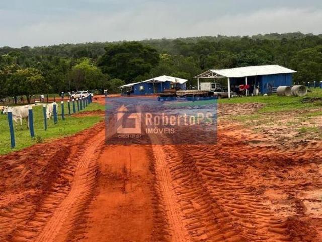 Sítio e chácara venda em Região Geográfica Imediata de Barra do Garças, Novo São Joaquim