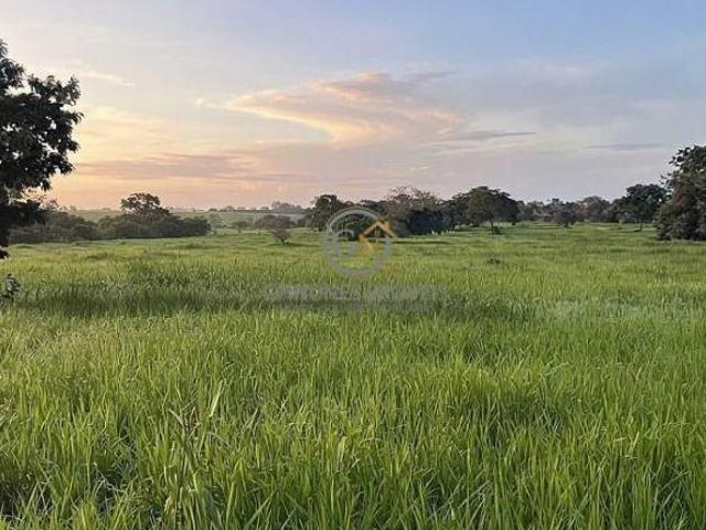 Sítio e chácara venda em General Carneiro, Região Geográfica Intermediária de Barra do Garças