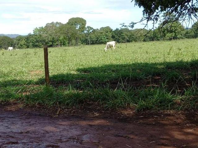 Sítio e chácara venda em Região Geográfica Imediata de Unaí, Região Integrada de Desenvolvimento do Distrito Federal e Entorno