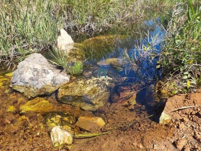 Sítio e chácara venda em Região Geográfica Imediata de Sete Lagoas, Região Metropolitana de Belo Horizonte