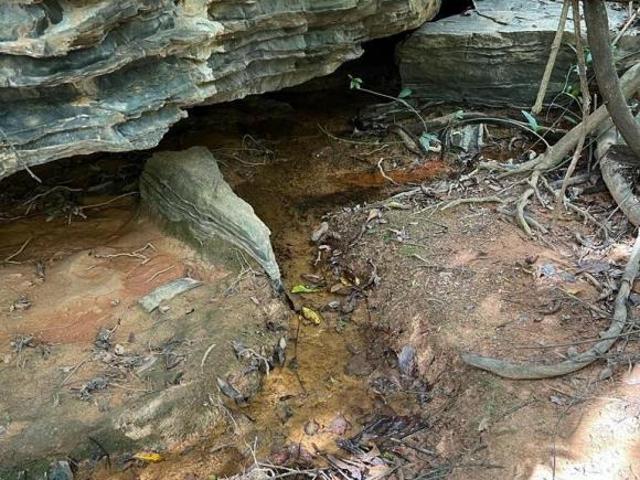Sítio e chácara venda em Região Geográfica Imediata de Curvelo, Curvelo