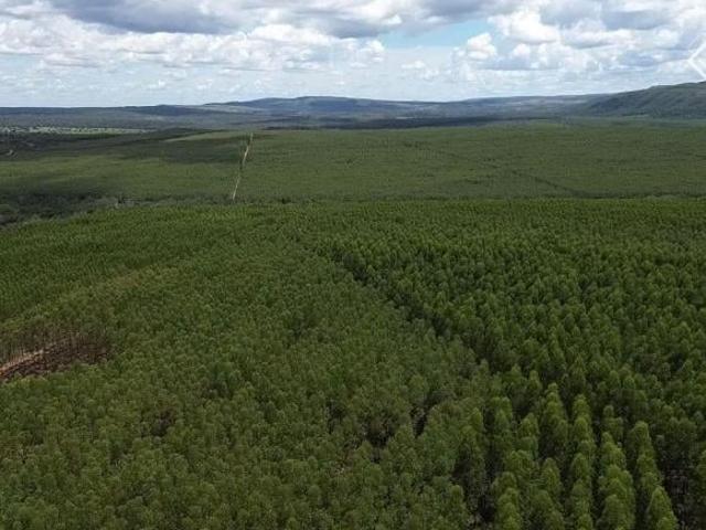 Sítio e chácara venda em Região Geográfica Imediata de Pirapora, Lassance