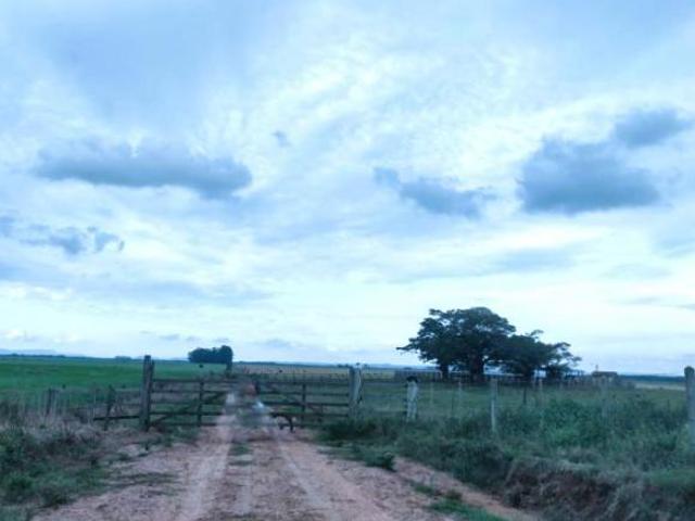 Sítio e chácara venda em Região Geográfica Imediata de Porto Alegre, Região Metropolitana de Porto Alegre