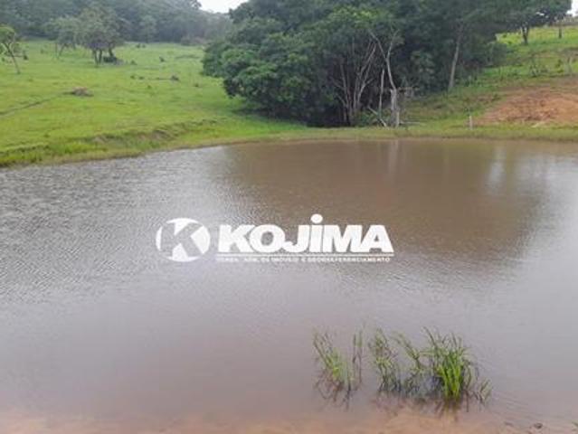 Sítio e chácara venda em Região Geográfica Imediata do Distrito Federal, Região Integrada de Desenvolvimento do Distrito Federal e Entorno
