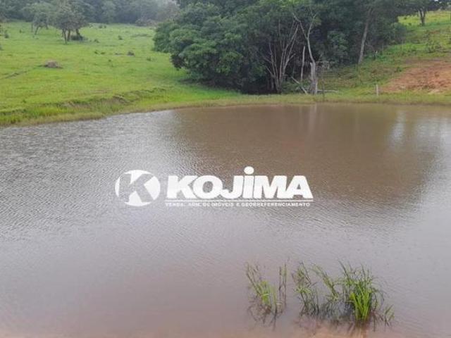 Sítio e chácara venda em Brasília, Plano Piloto