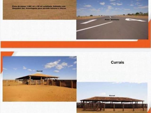 Sítio e chácara venda em Região Geográfica Imediata de Goiás - Itapuranga, Goiás