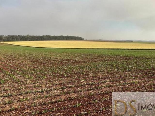 Sítio e chácara venda em Região Imediata de Ourinhos, Bernardino de Campos