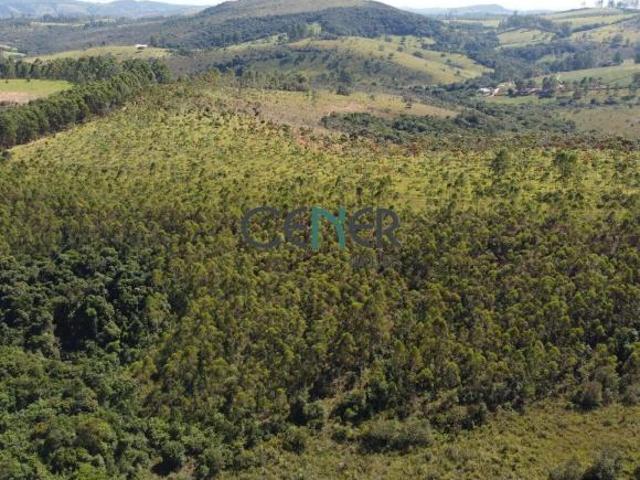 Sítio e chácara venda em Região Geográfica Imediata de Conselheiro Lafaiete, Entre Rios de Minas