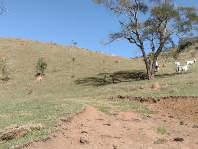 Sítio e chácara venda em Região Imediata de Guaratinguetá, Região Metropolitana do Vale do Paraíba e Litoral Norte