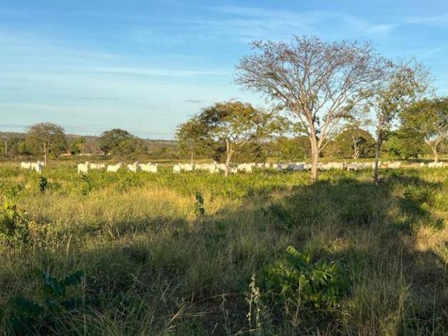 Sítio e chácara venda em Santa Rita, Brasília de Minas