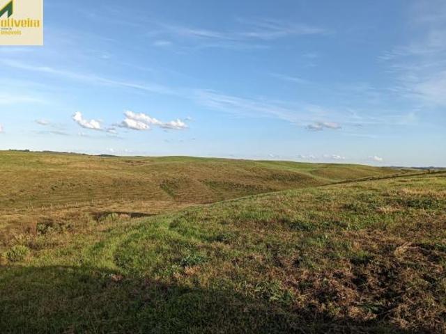 Sítio e chácara venda em Região Geográfica Imediata de Caxias do Sul, Cambara do Sul