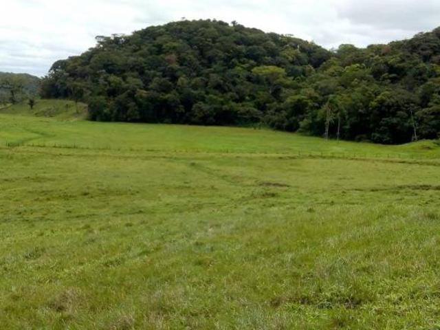 Sítio e chácara venda em Região Imediata de São Paulo, Região Metropolitana de São Paulo